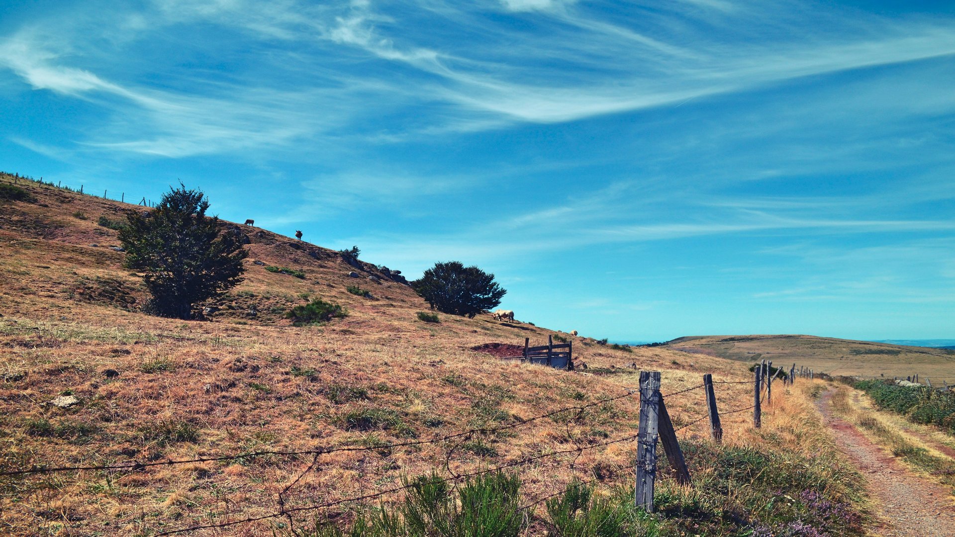 Atelier de coutellerie